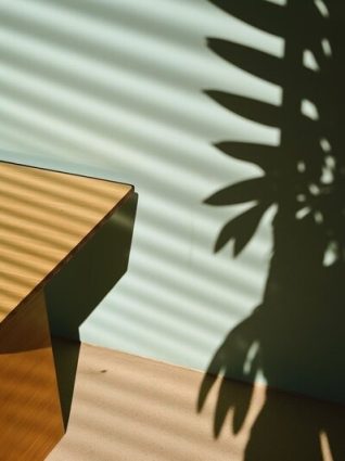 imageye___-_imgi_10_geometry_and_natures_silhouette